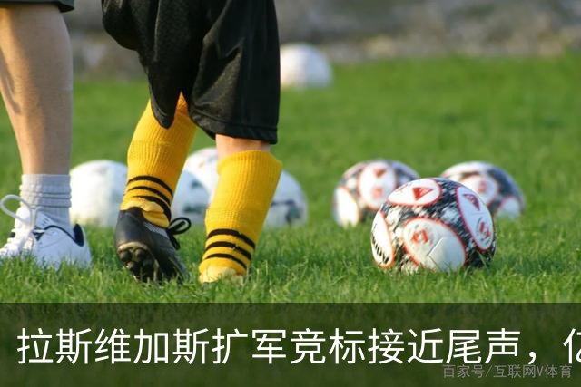 拉斯维加斯扩军竞标接近尾声，亿万富翁进入决赛